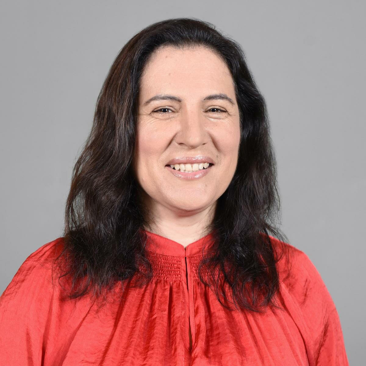 Professor Katina Michael 
