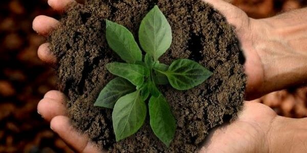 earth_day_encompasses_a_world_of_issues
